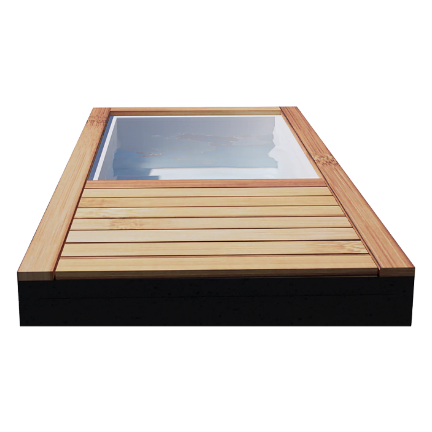 Polar Plunge - Ice Bath