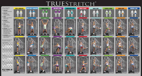 TRUE Stretch 800SS Club Fitness Accessories Canada.