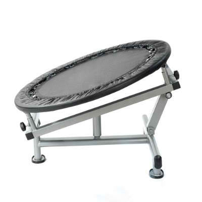 Medicine Ball Rebounder for Abs, Core & Cross Fit Training Strength & Conditioning Canada.