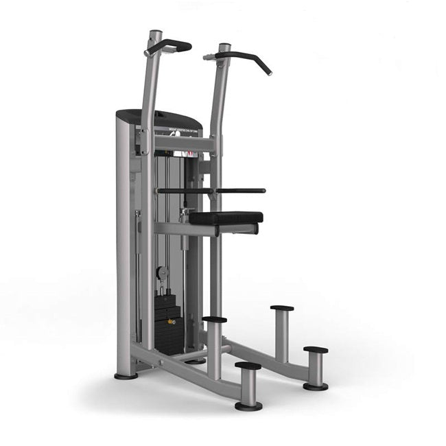 Element PLATINUM Weight Assisted Chin/Dip Strength Machines Canada.