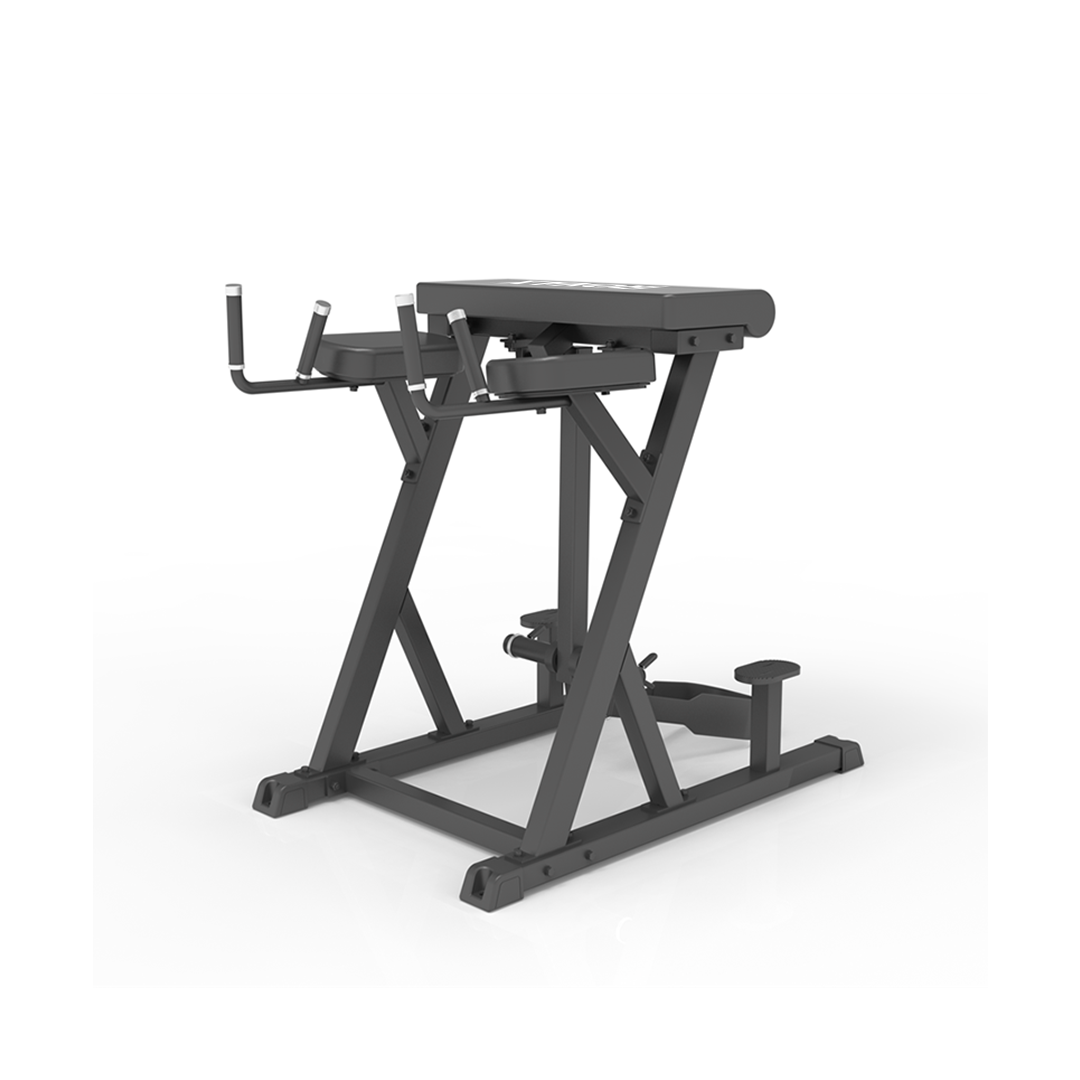 IRONAX XC - RHE Reverse Hyperextension