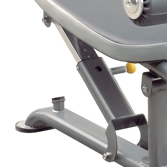 Element Series Multi Ab Bench Strength Machines Canada.