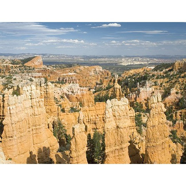 Passport Pack C Cardio Canada.