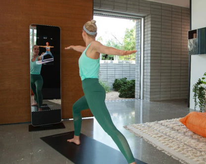 ProForm - Vue 180 Mirror (PFB14320)