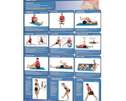 Poster - Stretching - Lower Body Fitness Accessories Canada.