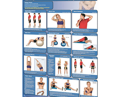 Poster - Stretching - Upper Body Fitness Accessories Canada.