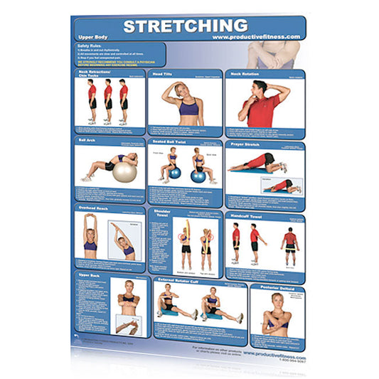 Poster - Stretching - Upper Body Fitness Accessories Canada.