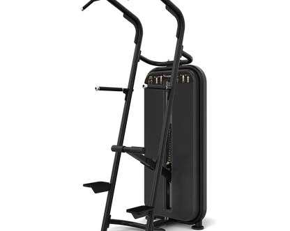 Vision Fitness - Chin / Dip Assist S601