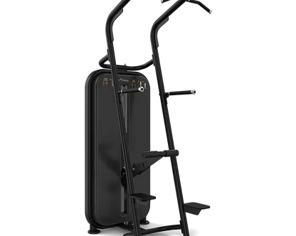 Vision Fitness - Chin / Dip Assist S601