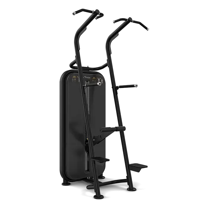 Vision Fitness - Chin / Dip Assist S601