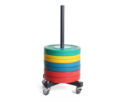 XM Vertical Bumper Plate Storage Strength & Conditioning Canada.